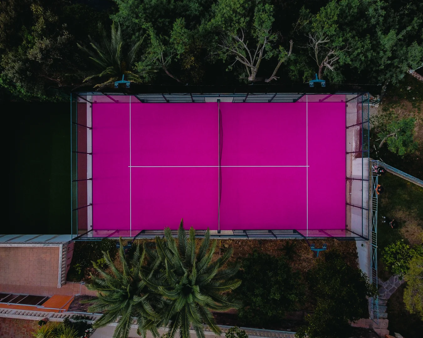 aerial view of a purple padel court with palm trees surrounding it